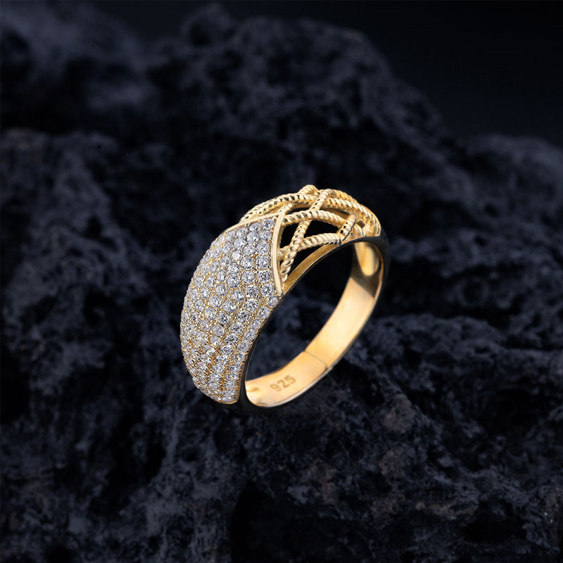 SAGE PAVE